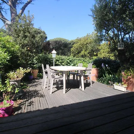 Gasgol11 - Golfe De St-tropez - Dans Coin De Verdure