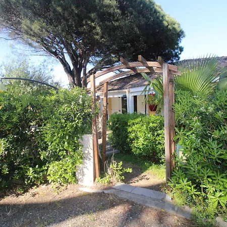 Gasgol11 - Golfe De St-tropez - Dans Coin De Verdure * Gassin